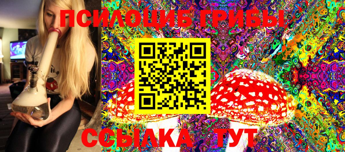 Псилоцибиновые грибы Magic Shrooms  Вход с VPN  Скопин  Псилоцибиновые грибы Magic Shrooms 